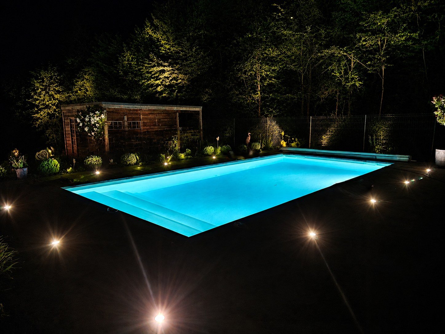 Piscine creusée et jardin aménagé d'une maison à Beauraing
