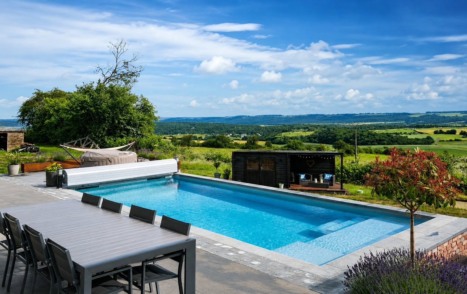 Piscine creusée rectangulaire avec vue